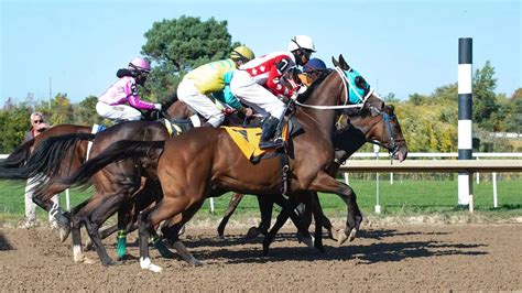 The role of jockeys in horse racing: Challenges, training, and race .